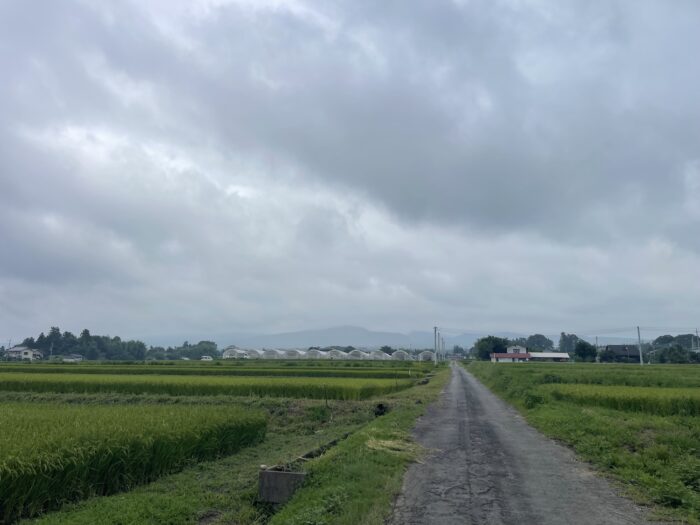 8月31日(月)　AM 8:20　前橋市苗ケ島町