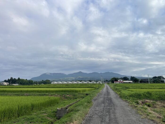 8月16日(日)　AM 6:48　前橋市苗ケ島町