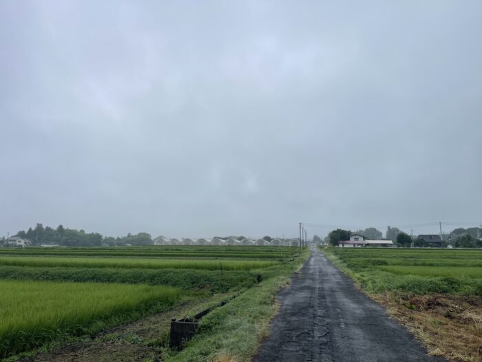 8月3日(月)　AM 8:05　前橋市苗ケ島町