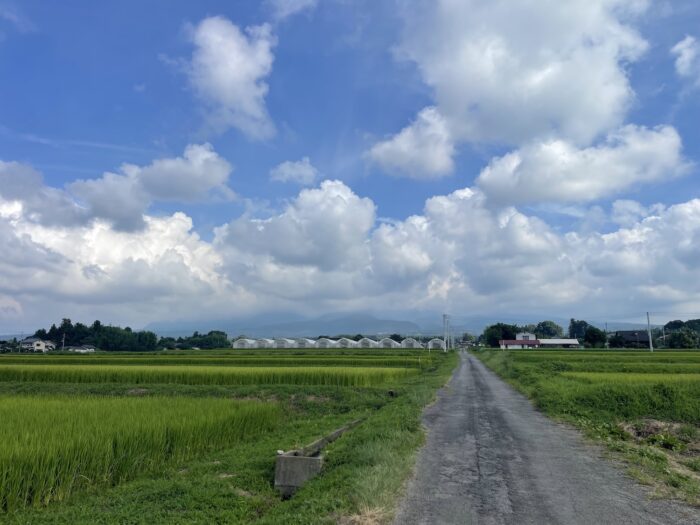 8月18日(火)　AM 8:47　前橋市苗ケ島町