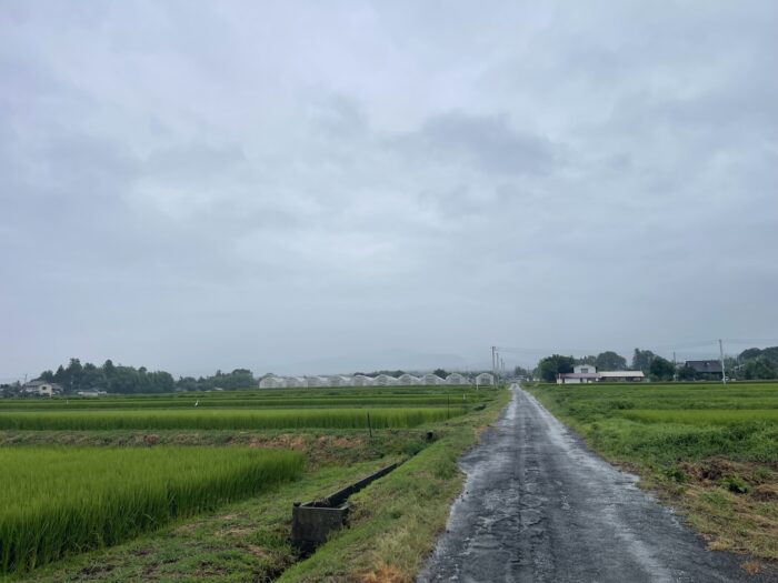 8月12日(水)　AM 8:09　前橋市苗ケ島町