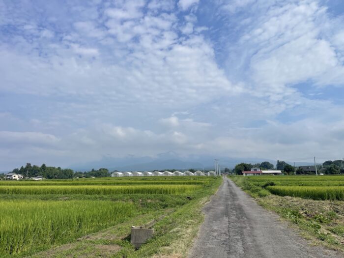 8月20日(木)　AM 8:52　前橋市苗ケ島町