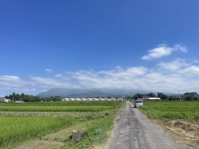 8月5日(水)　AM 9:27　前橋市苗ケ島町