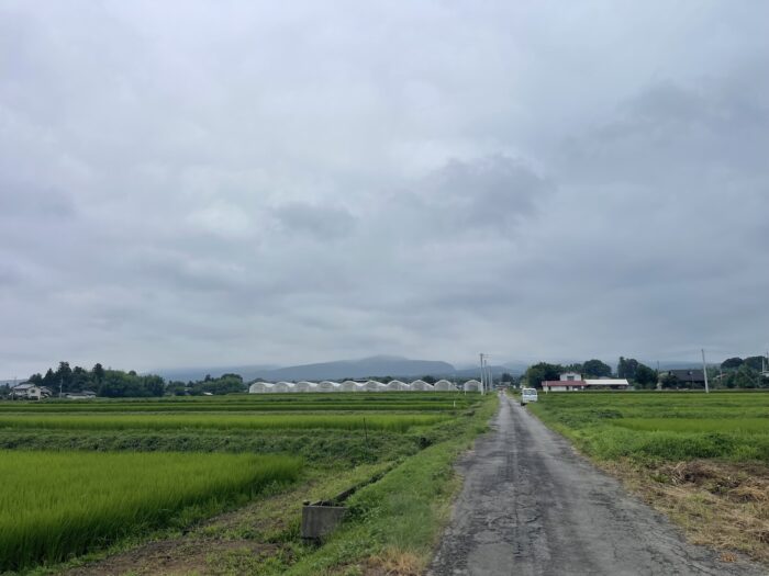 8月4日(火)　AM 10:16　前橋市苗ケ島町