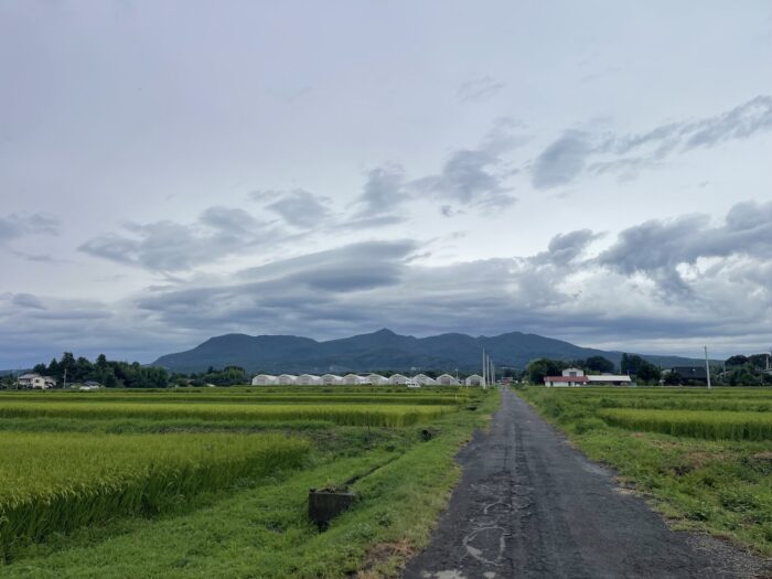 8月27日(木)　AM 8:13　前橋市苗ケ島町