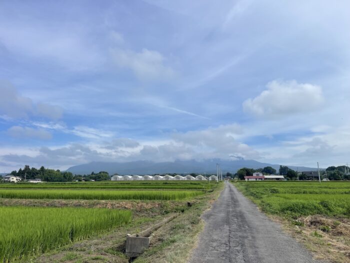 8月9日(日)　AM 8:26　前橋市苗ケ島町