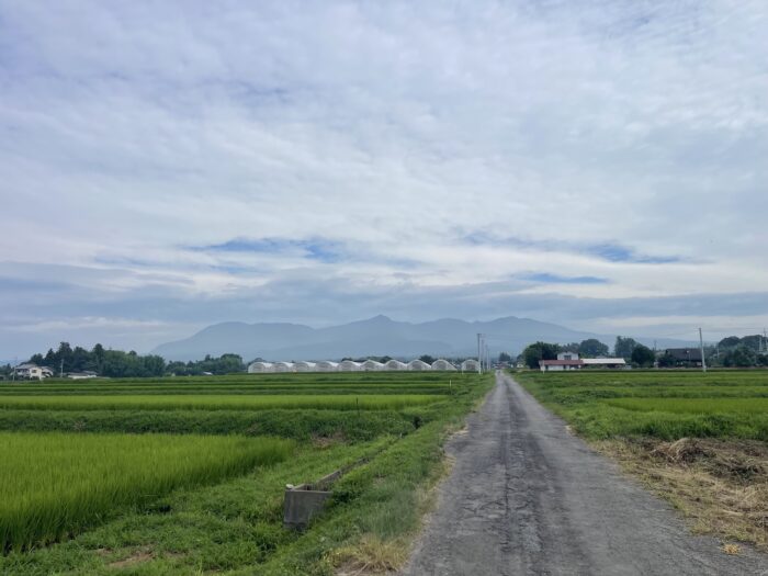 8月1日(土)　AM 8:43　前橋市苗ケ島町