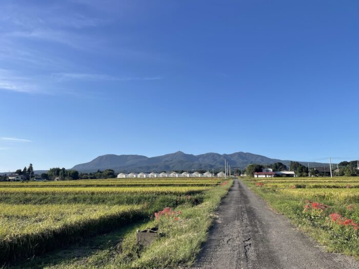 9月24日(木)　PM 4:03　前橋市苗ケ島町