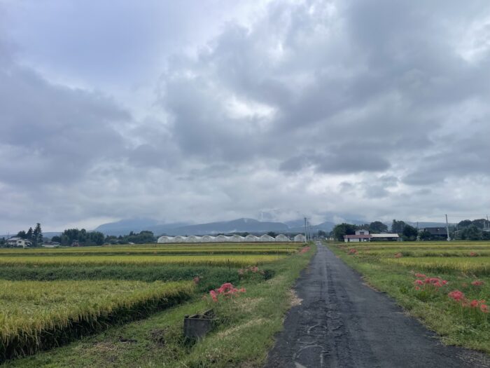 9月23日(水)　AM 6:55　前橋市苗ケ島町