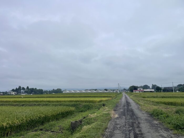 9月13日(日)　AM 8:59　前橋市苗ケ島町