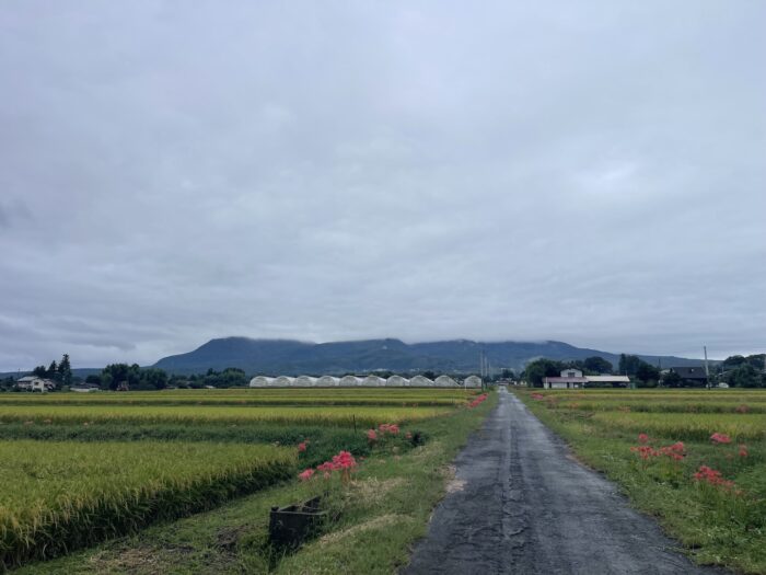 9月21日(月)　AM 6:55　前橋市苗ケ島町