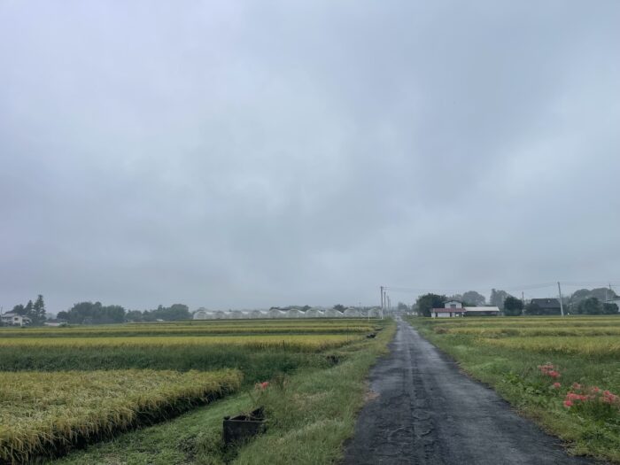 9月30日(水)　AM 8:36　前橋市苗ケ島町