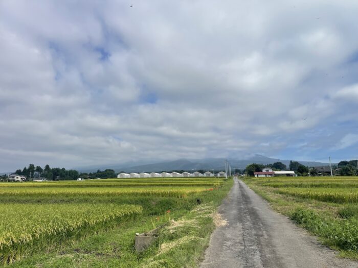 9月14日(月) AM 9:16 前橋市苗ケ島町