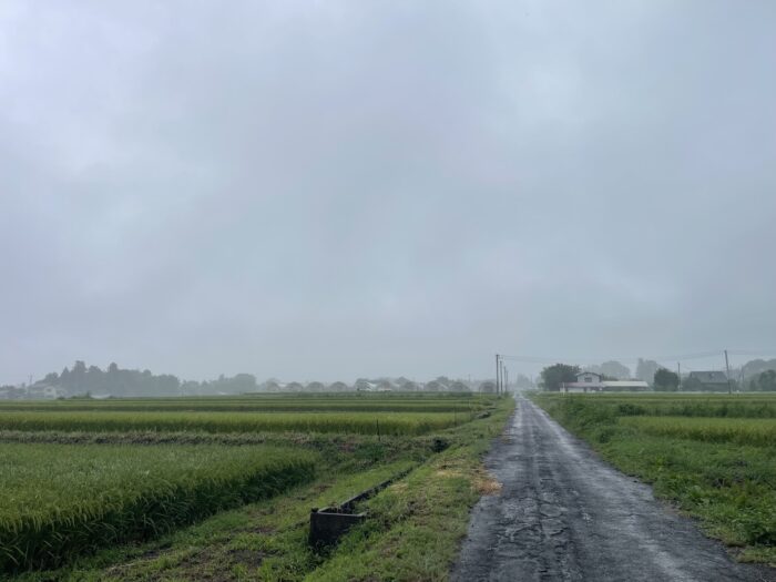 9月5日(土)　AM 7:50　前橋市苗ケ島町