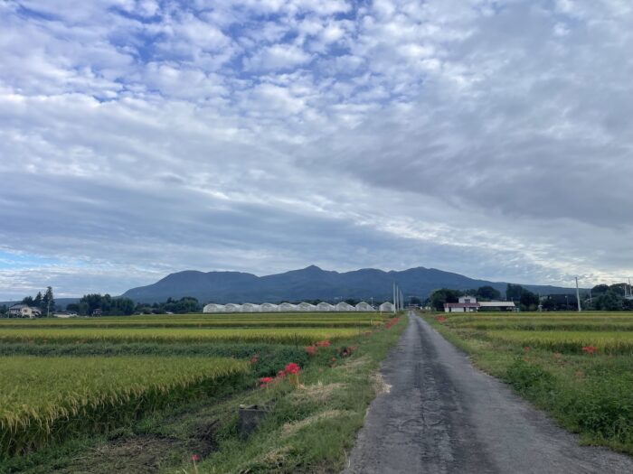 9月19日(土) AM 6:51 前橋市苗ケ島町