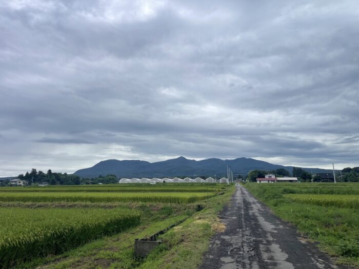 9月4日(金)　AM 6:48　前橋市苗ケ島町