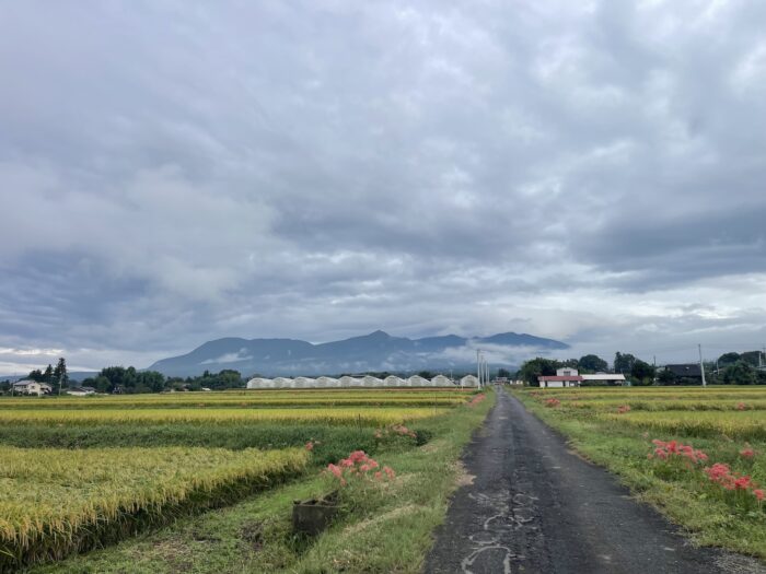 9月24日(木)　AM 7:11　前橋市苗ケ島町