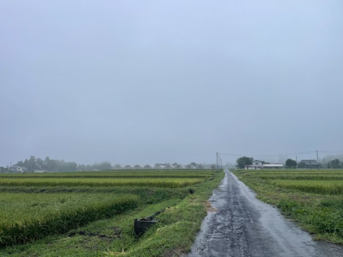 9月10日(木)　AM 6:58　前橋市苗ケ島町