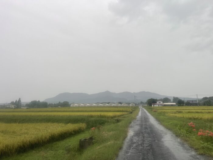 9月29日(火) AM 7:09 前橋市苗ケ島町