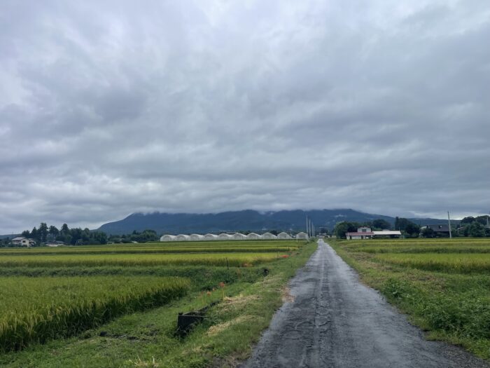 9月15日(火)　AM 8:29　前橋市苗ケ島町