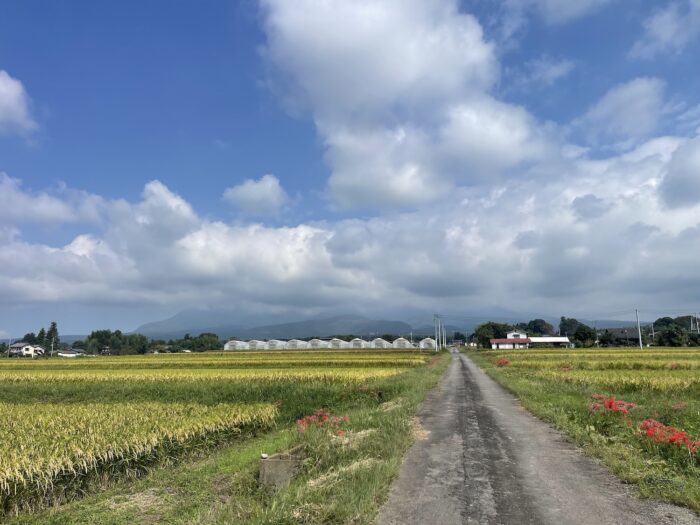 9月25日(金) AM 9:44 前橋市苗ケ島町