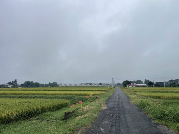 9月17日(木)　AM 7:49　前橋市苗ケ島町