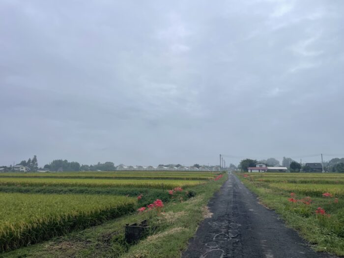 9月20日(日)　AM 6:58　前橋市苗ケ島町