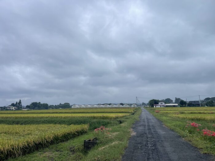9月26日(土)　AM 7:23　前橋市苗ケ島町