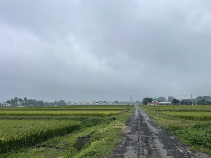 9月12日(土)　AM 8:03　前橋市苗ケ島町