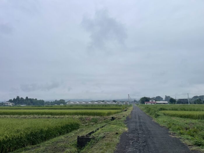 9月1日(火)　AM 6:58　前橋市苗ケ島町