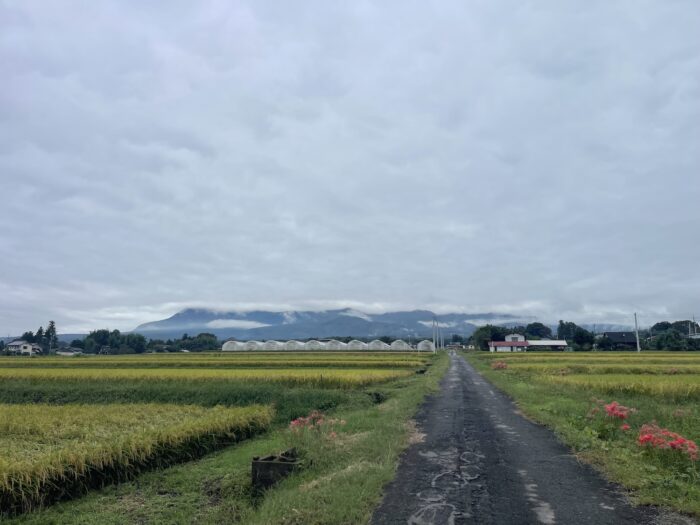 9月27日(日) AM 8:08 前橋市苗ケ島町