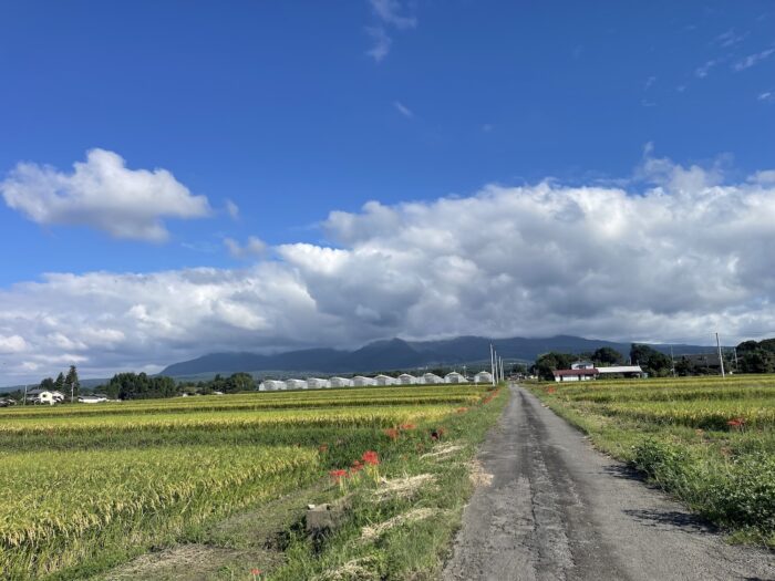 9月18日(金)　AM 8:17　前橋市苗ケ島町