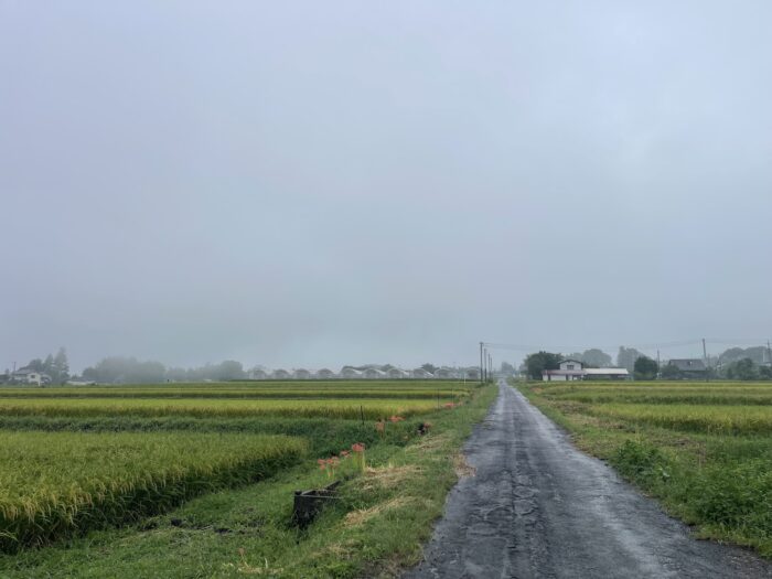 9月16日(水) AM 7:53 前橋市苗ケ島町