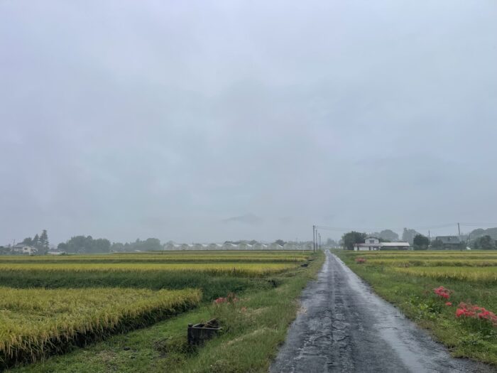 9月28日(月)　AM 9:25　前橋市苗ケ島町