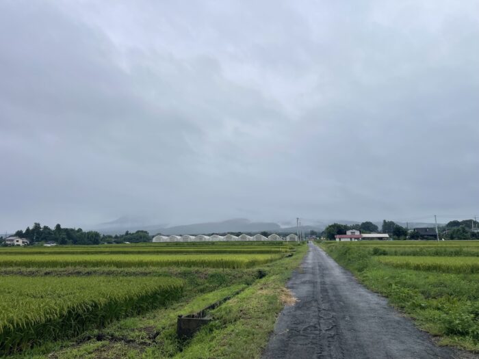 9月8日(火)　AM 8:32　前橋市苗ケ島町