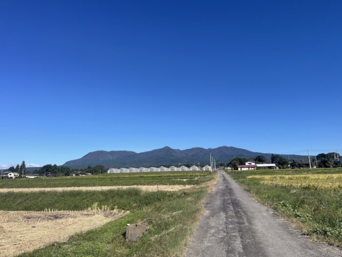 10月7日(水)　AM 9:12　前橋市苗ケ島町
