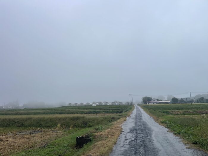 10月26日(月)　AM 9:32　前橋市苗ケ島町