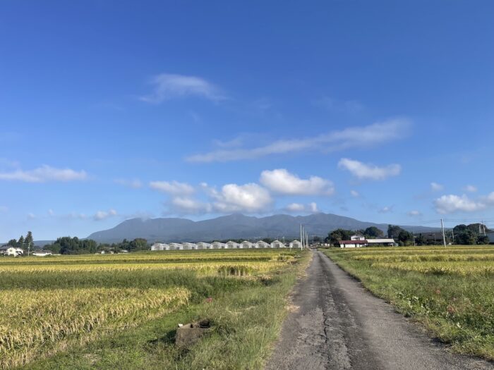 10月3日(土) AM 7:42 前橋市苗ケ島町