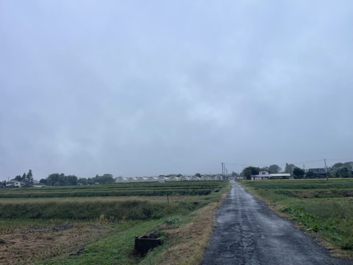 10月27日(火)　AM 7:17　前橋市苗ケ島町