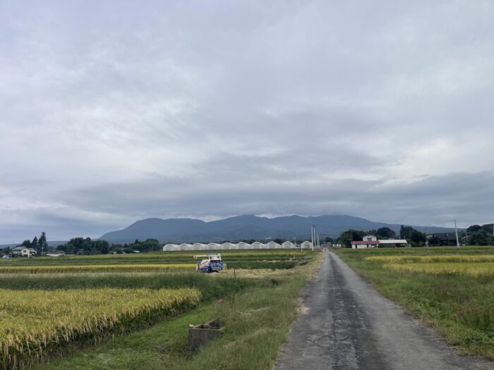 10月4日(日)　AM 8:26　前橋市苗ケ島町