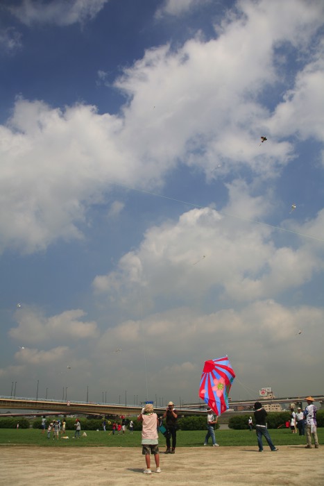 9月8日　第８回足立凧まつり