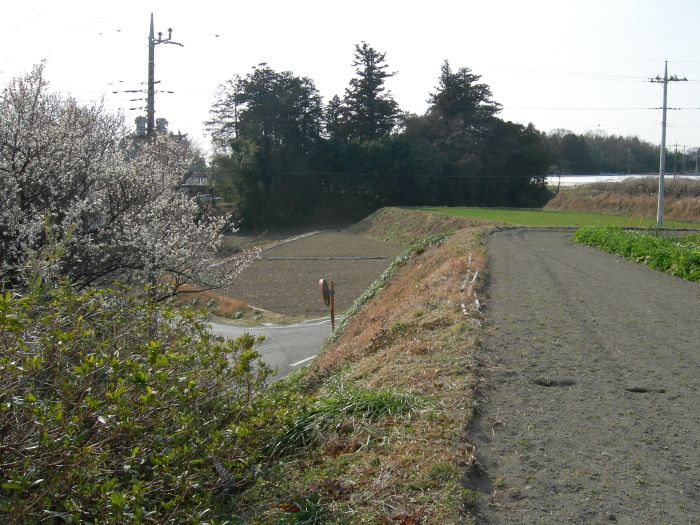 前方が住吉神社