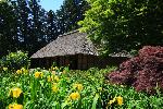 5月20日撮影 阿久沢家住宅