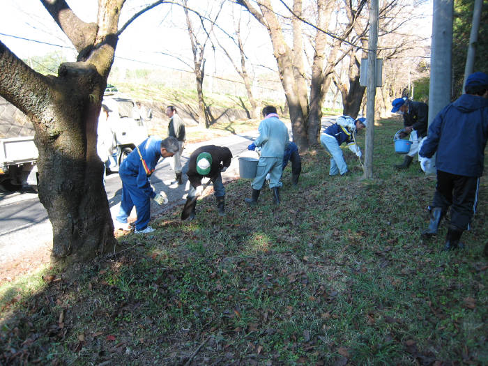 桜守の会施肥作業