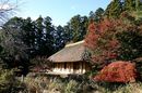 akuzawake051116-05.jpg