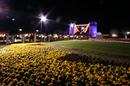 flower_Illumination041211-04.jpg