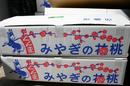 hanamomo050217-10.jpg