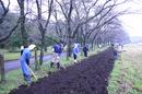 hanaue041011-10.jpg