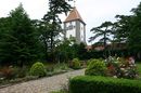 kronenberg060622-02.jpg