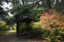 matunamiki060430-27.jpg